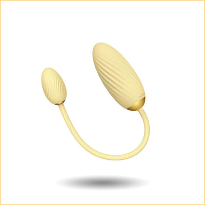 A Double Egg Bullet Vibrator for Women