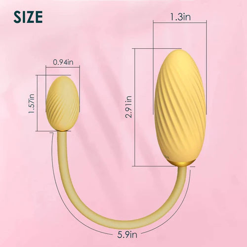 A Double Egg Bullet Vibrator for Women