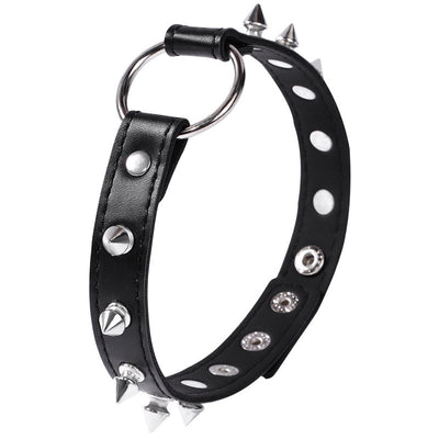 Spiked Dog Collar