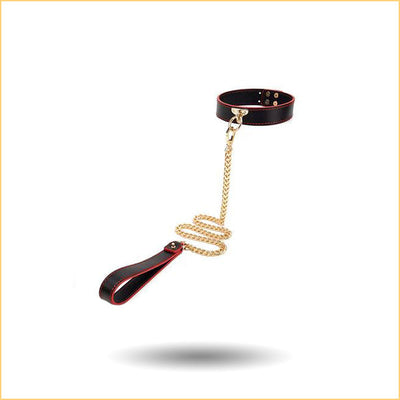 Bondage Collar & Leash