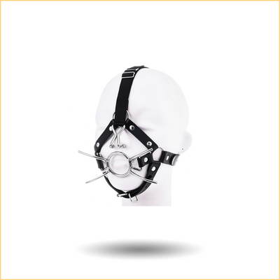 Mouth plug and nose hook set