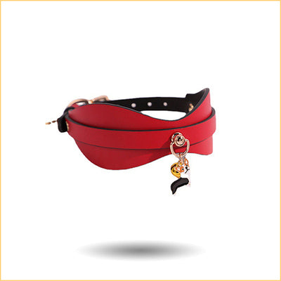 Genuine Leather Bell BDSM Collar with Leash