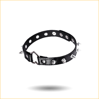 Spiked Dog Collar