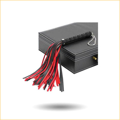 Seductive Black and Red BDSM Whip